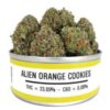 Alien Orange Cookies