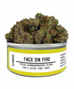 Space Monkey Face on fire strain