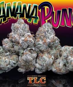 Jungle Boys Banana Punch