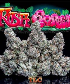 Jungle Boys Kush Sorbet