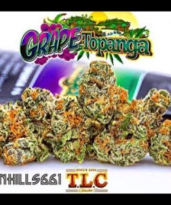 Jungle Boys Grape Topanga
